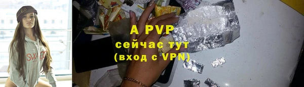 СК Дмитров